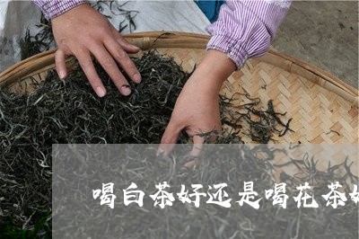 喝白茶好还是喝花茶好/2023092998584