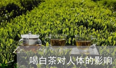喝白茶对人体的影响/2023121820571