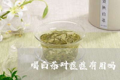 喝白茶对痘痘有用吗/2023071645939