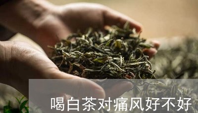 喝白茶对痛风好不好/2023121864937