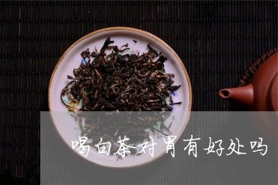 喝白茶对胃有好处吗/2023081459692