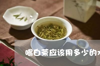 喝白茶应该用多少的水/2023092895249