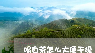 喝白茶怎么大便干燥/2023071701826