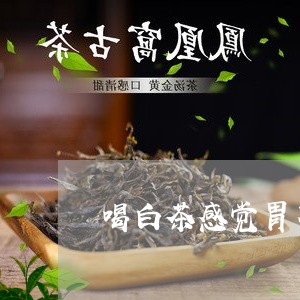 喝白茶感觉胃不消化/2023081438261