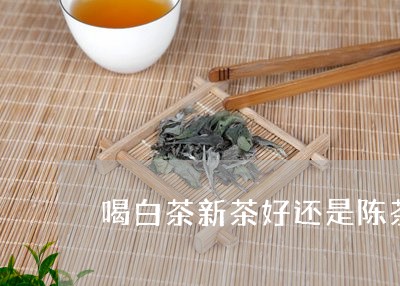 喝白茶新茶好还是陈茶好/2023101661946