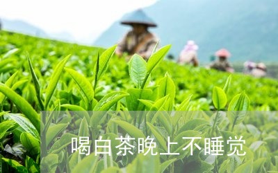 喝白茶晚上不睡觉/2023061604846