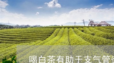 喝白茶有助于支气管炎吗/2023062951482