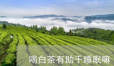 喝白茶有助于睡眠嘛/2023071735360