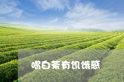 喝白茶有饥饿感/2023062907147