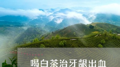 喝白茶治牙龈出血/2023061606047