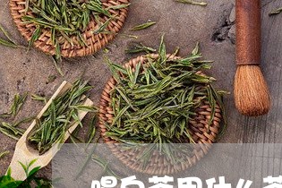 喝白茶用什么茶杯最好/2023092829361