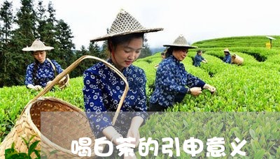 喝白茶的引申意义/2023062942936