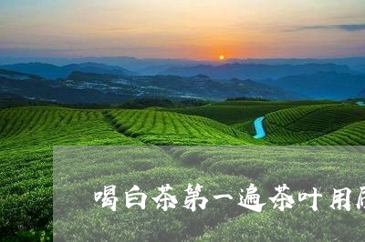 喝白茶第一遍茶叶用刷吗/2023101652927