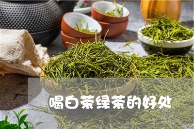 喝白茶绿茶的好处/2023061783827