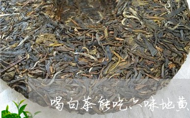 喝白茶能吃六味地黄丸吗/2023101627351