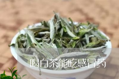 喝白茶能吃感冒药/2023061761726