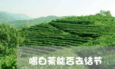 喝白茶能否去结节/2023061737270