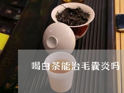 喝白茶能治毛囊炎吗/2023081343715