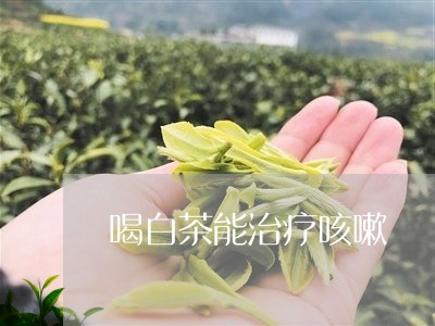 喝白茶能治疗咳嗽/2023061603136