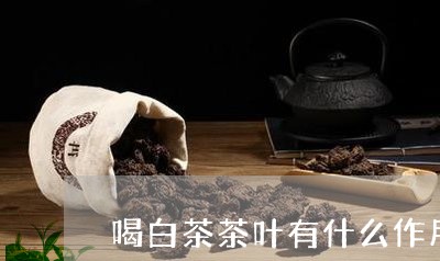 喝白茶茶叶有什么作用/2023092834067