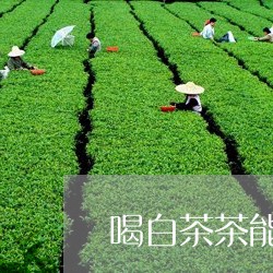 喝白茶茶能降血糖吗/2023081421582