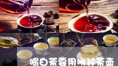 喝白茶要用哪种茶壶/2023081497151