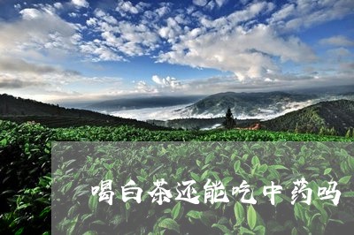 喝白茶还能吃中药吗/2023121854248