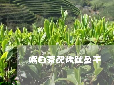 喝白茶配烤鱿鱼干/2023061756069