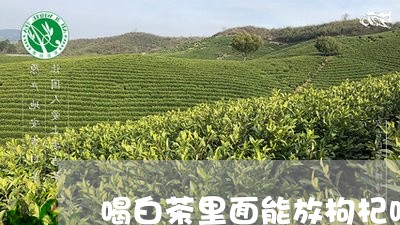 喝白茶里面能放枸杞吗/2023092871481