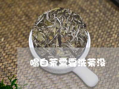 喝白茶需要洗茶没/2023061732637