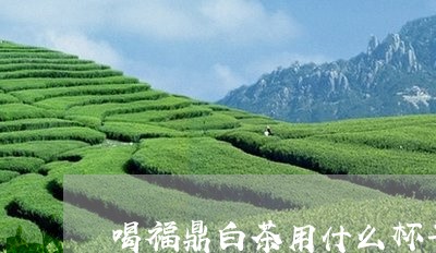 喝福鼎白茶用什么杯子/2023091615037