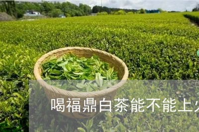 喝福鼎白茶能不能上火/2023120657159