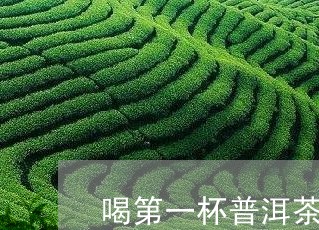 喝第一杯普洱茶的影响/2023092632805