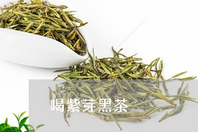 喝紫芽黑茶/2023090227502