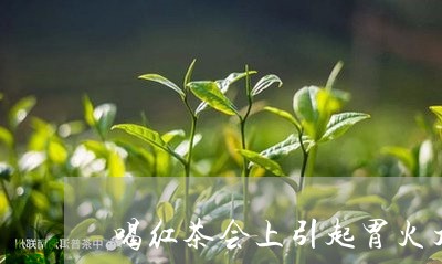 喝红茶会上引起胃火大/2023060892737