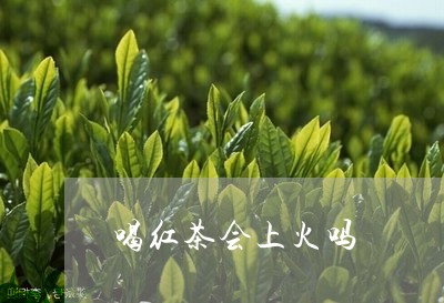 喝红茶会上火吗/2023042940895