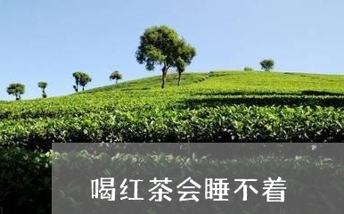 喝红茶会睡不着/2023042990107