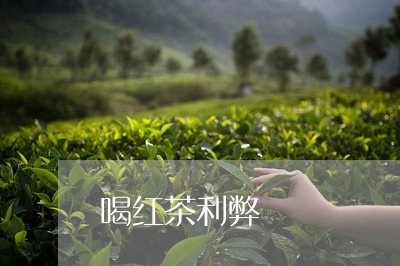 喝红茶利弊/2023121915149