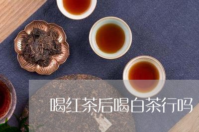 喝红茶后喝白茶行吗/2023121889594