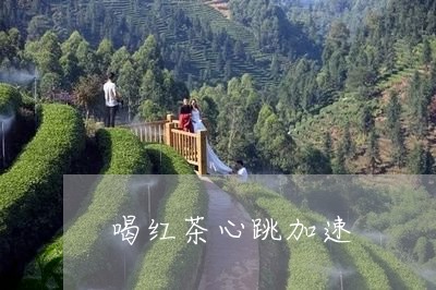 喝红茶心跳加速/2023042937842