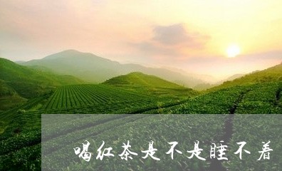 喝红茶是不是睡不着/2023042191583