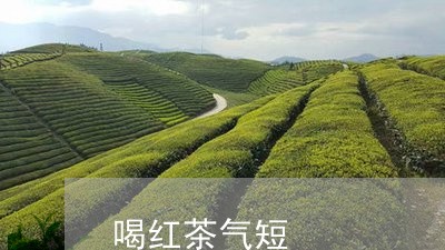 喝红茶气短/2023090228469