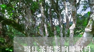 喝红茶能影响睡眠吗/2023042129304