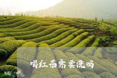 喝红茶需要洗吗/2023042963939