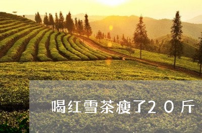 喝红雪茶瘦了20斤/2023042098392