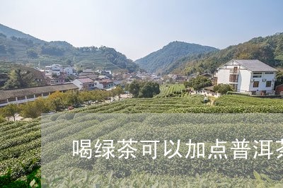 喝绿茶可以加点普洱茶吗/2023112862047