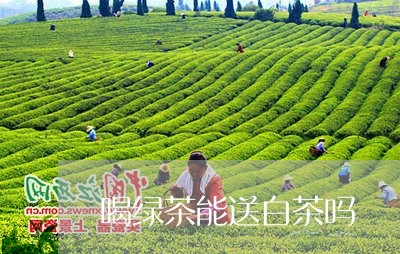 喝绿茶能送白茶吗/2023061711614