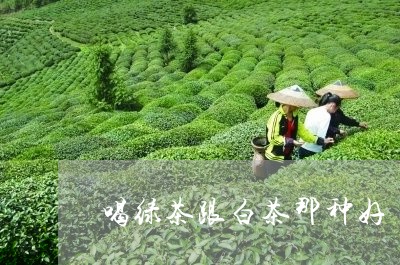 喝绿茶跟白茶那种好/2023071602504