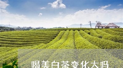 喝美白茶变化大吗/2023092853594