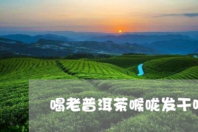 喝老普洱茶喉咙发干咳嗽/2023102419672